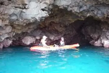 a group of people swimming in a pool of water