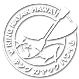 Alba Botanica Hawaii 3-in-1 Reinigungstücher – 30 Stück, Feucht & Natürlich – Für Gesicht & Körper Unterwegs