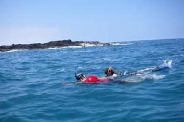 a group of people swimming in a body of water